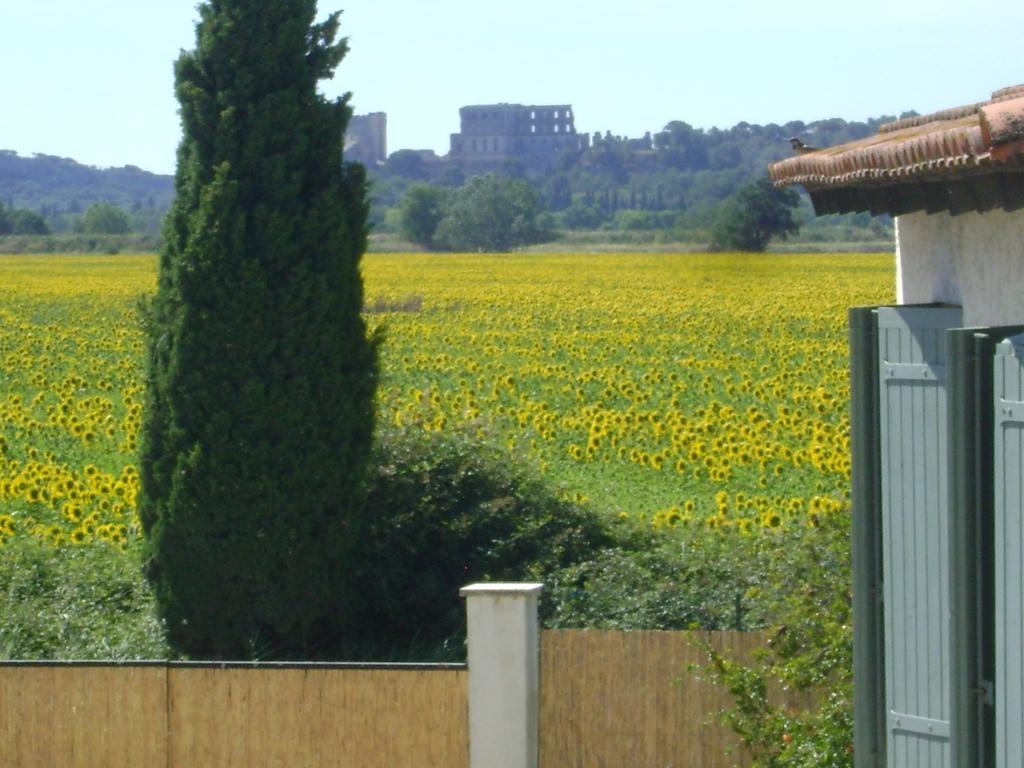 Logis Hotel Des Granges Arles Exterior photo